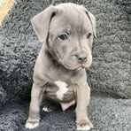 Beatrice Byrd - Facebook