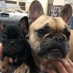 @beau_and_beatrice_booth - Instagram