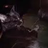 Beatrice Boucher - @beatrice.boucher0 - TikTok