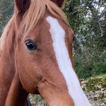 Béatrice Boucher - @beatriceboucheryaher - Instagram