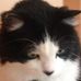 Beatrice Boyer - Facebook