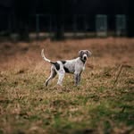 BEATRICE Clement - @beatrice_clement_ - Instagram