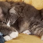 Beatrice - @beatrice_clemente_64 - Instagram