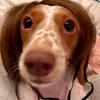 beatricecorn - @beatricecorncup - TikTok