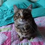 Béatrice Cornet - @beatrice.cornet.501 - Instagram