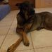 Beatrice Cornet - Facebook