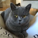 Beatrice Cox - @queenbea_guardianangel - Instagram