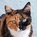 Beatrice Greuter - Facebook