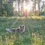 Beatrice David - @beabdavid - Instagram