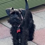 Beatrice Ferguson - @beattiepoppy - Instagram