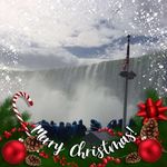 Beatrice Fleming - @beatricefleming246 - Instagram