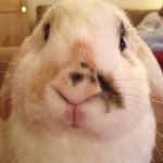 Beatrice Frederick - @sakitoolut - Instagram
