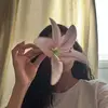 Beatrice Hall - @beatrice.hall6 - TikTok