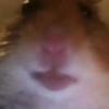 XxEllaxX - @beatricehoffmann9 - TikTok