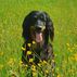 Bea Holder - Facebook