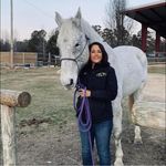 Beatrice Galindo Householder - @beatricehouseholder - Instagram