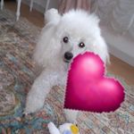 Beatrice Huber - @beatricehuber8 - Instagram