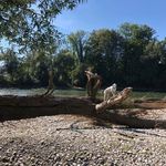 Beatrice Huber - @beatricehuber60 - Instagram