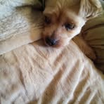 Beatrice Libby - Facebook