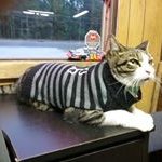 Beatrice Long - @beatrice.long.46 - Instagram