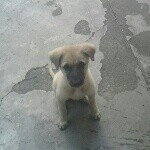 Pamela Beatrice Manuel - @pambeamanuel - Instagram