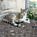 Beatrice Marc - Facebook