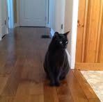 Beatrice Marks - Facebook