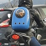 Beatrice Martinez - @beaherbert66 - Instagram