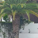 Beatrice Neumann - @beatrice_neu1975 - Instagram