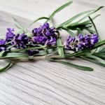 Beatrice Neumann - @wohlfuehlmomente_bernsdorf - Instagram