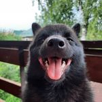 Амико Хоши Беатрис Роял - @beatrice.royalll - Instagram