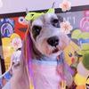 beatriceze - @beatriceze - TikTok