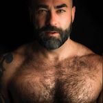 Noah - @beatricesullivan052022 - Instagram