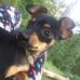 Beatrice Varner - Facebook