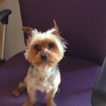 Beatrice Vidal - @beatrice.vidal.566 - Instagram