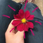 Beatrice Vidal - @beatricevidal56 - Instagram
