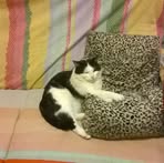 Beatrice Viola - Facebook