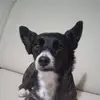 Beatrice viola - @beatrice.viola1 - TikTok