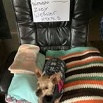 Beatrice Weaver - Facebook