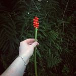 Heather Beatrice Webster - @find_us_keep_us - Instagram