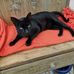 Beatrice Wettstein - Facebook