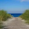 beatriceweidemann - @beatriceweidemann - TikTok