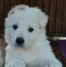 Beatrix Kaufmann - Facebook