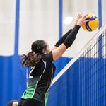 Beatrix webb - @beatrixwebb.volleyball - Instagram
