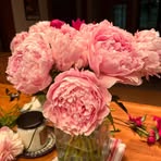 Beatrix Webb - Facebook