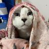 Beatriz Arthur - @beatriz.arthur6 - TikTok