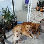 Beatriz Belmontes - Facebook