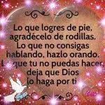 Beatriz Bermeo - @bbermeo71 - Instagram