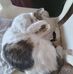 Beatriz Byrne - Facebook