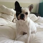 Beatriz Cancio Nebreda - @beaymateo - Instagram